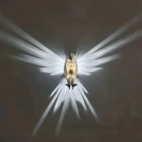 Eagle 3D Wall Lamp