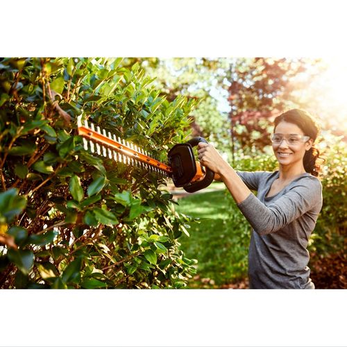 20 Volt Power Share Cordless Battery 22 Inch Hedge Trimmer, Orange