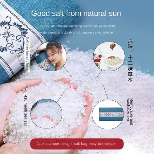 Hot Compress Electric Heating Waist Bag With Coarse Sea Salt Warm Abdomen & Back Shoulder Pad Personal Care Generation Wholesale