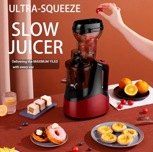 1pc Slow Juicer with US Plug, Cold Press Juicer for Fruits and Vegetables