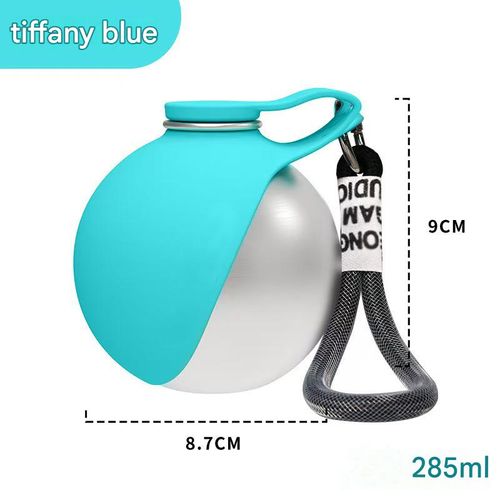 Portable Pet Water Bottle | Hydration on the Go