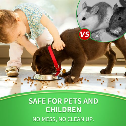 Natural Rodent Repellent Balls – Plant-Based Mouse Repellent for Home, Car & Garage