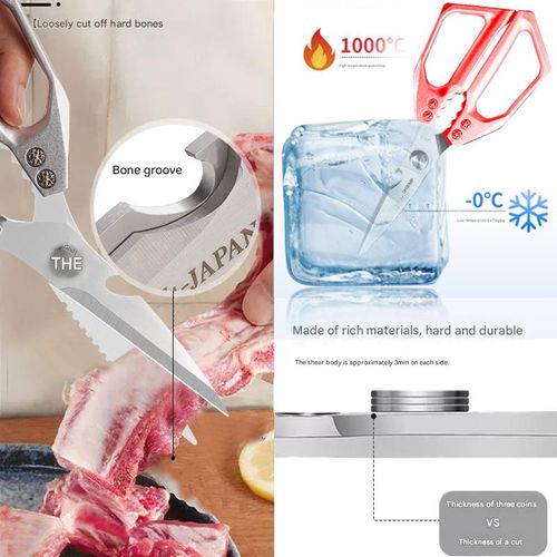 Heavy Duty Multi-Purpose Kitchen Scissors