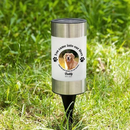 Custom Dog Cat Photo Paw Print Solar Garden Light