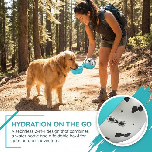 2-in-1 Portable Dog Water Bottle for Small Dogs - Leak-Proof & Compact Dog Travel Water Bottle -Stainless Steel Bottle & Silicone Bowl - Ideal for Walking, Hiking & Travels