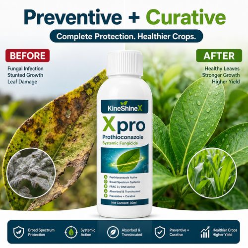 KineShineX™  Xpro Prothioconazole Systemic Fungicide |Buy 1 Get Free 1