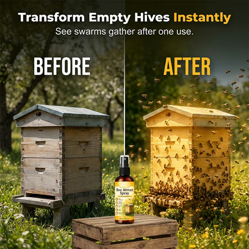 🐝Natural Outdoor Bee Attractant Spray✨ Buy 1 Free 1