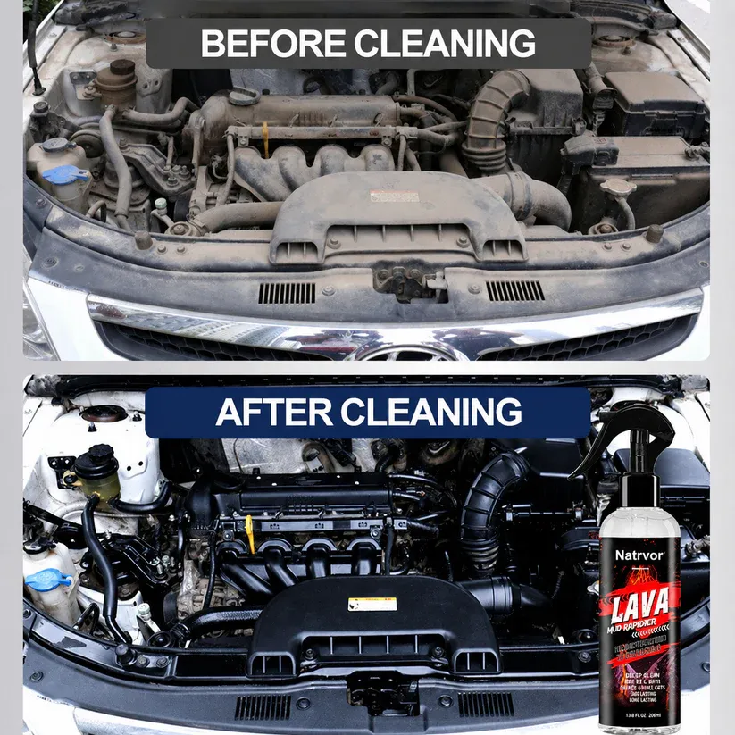 Car Engine Cleaner | Spray, Clean & Protect |Buy 1 Free 1