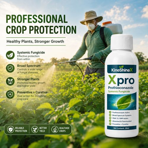 KineShineX™  Xpro Prothioconazole Systemic Fungicide |Buy 1 Get Free 1