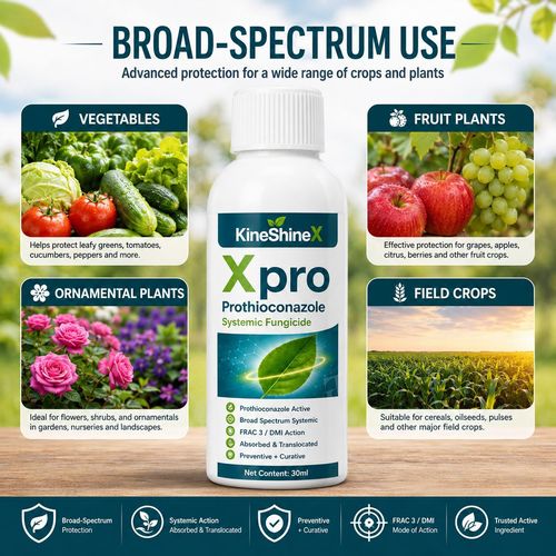KineShineX™  Xpro Prothioconazole Systemic Fungicide |Buy 1 Get Free 1