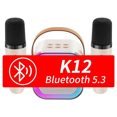 Karaoke Speaker Wireless