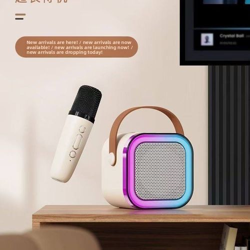 Karaoke Speaker Wireless