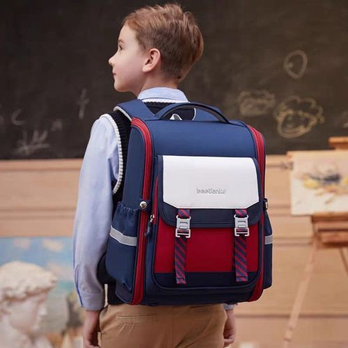 Elite Elegance Premium Backpack - Chic, Sturdy, Spacious, Water-Resistant Backpack for Kids