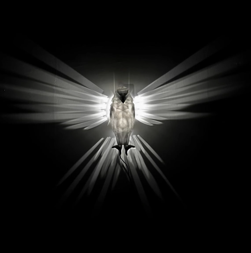 Modern Wall Lamp Eagle Bird Shape Projection