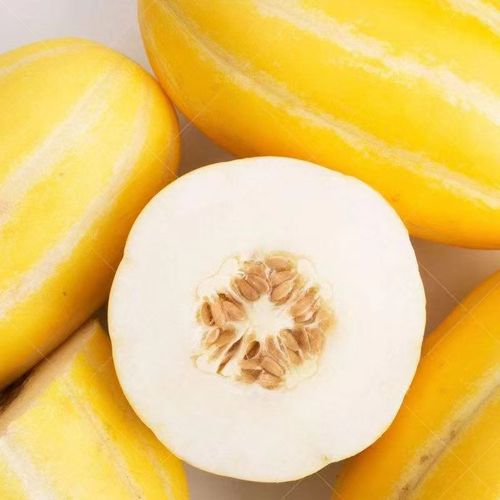 100 golden muskmelon seeds