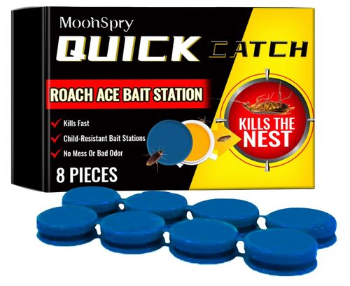 Home Kitchen Cleaning Wholesale Customization