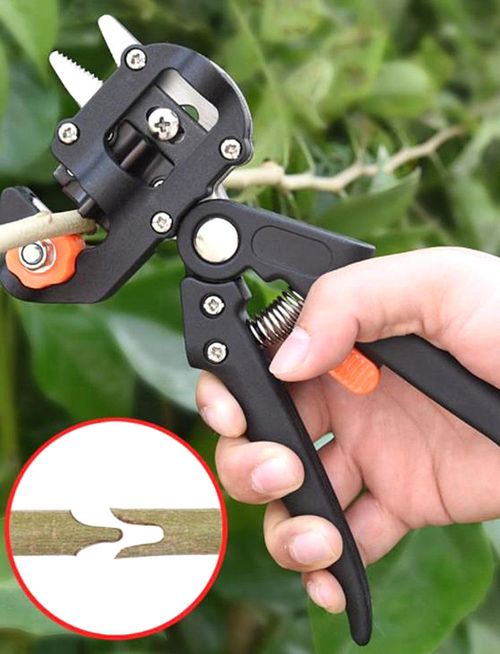 Complete horticultural grafting tools for professional pruning and grafting of fruit trees