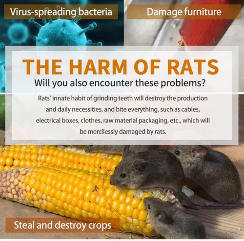 Reusable galvanized automatic door closing mousetrap, non-toxic and harmless, suitable for indoor and outdoor warehouses, garages and restaurants