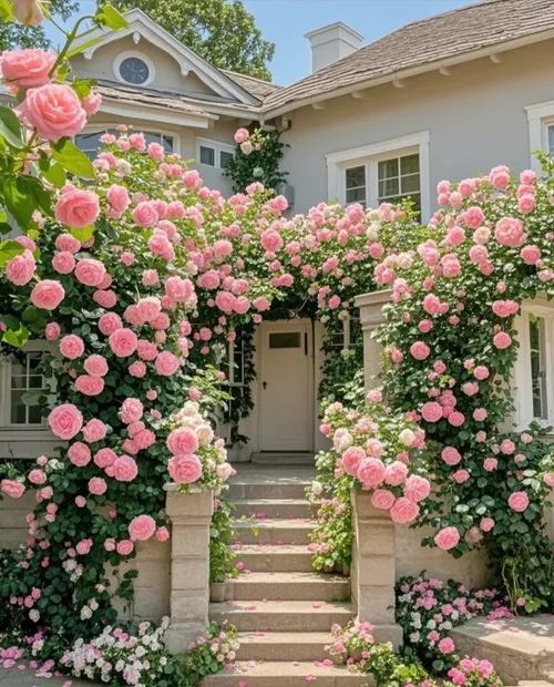 🔥🌺598 Enchanting Climbing Rose Seeds – Effortless Beauty for a Romantic Garden Oasis