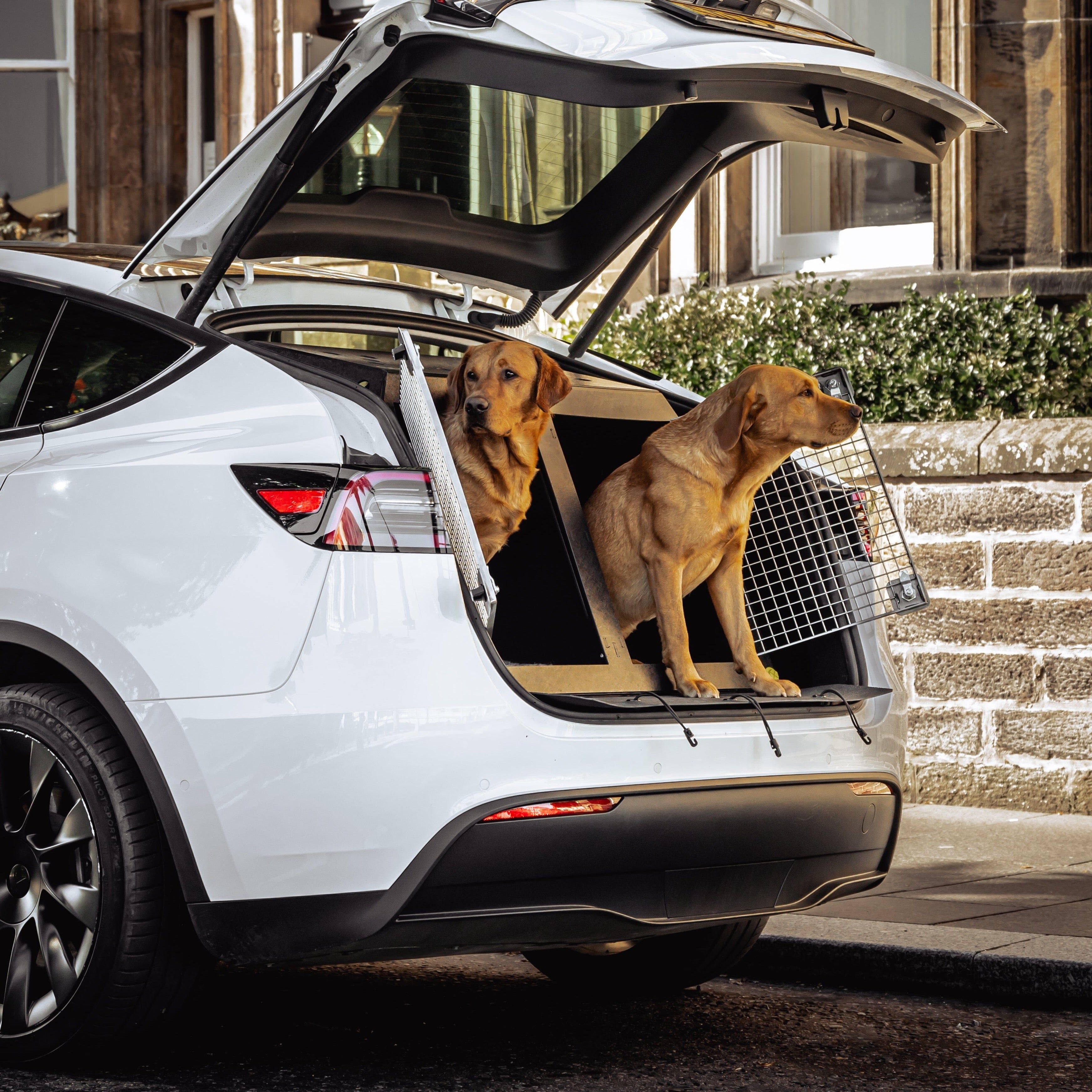 Tesla Model Y 2020 – Present | Dog Travel Crate