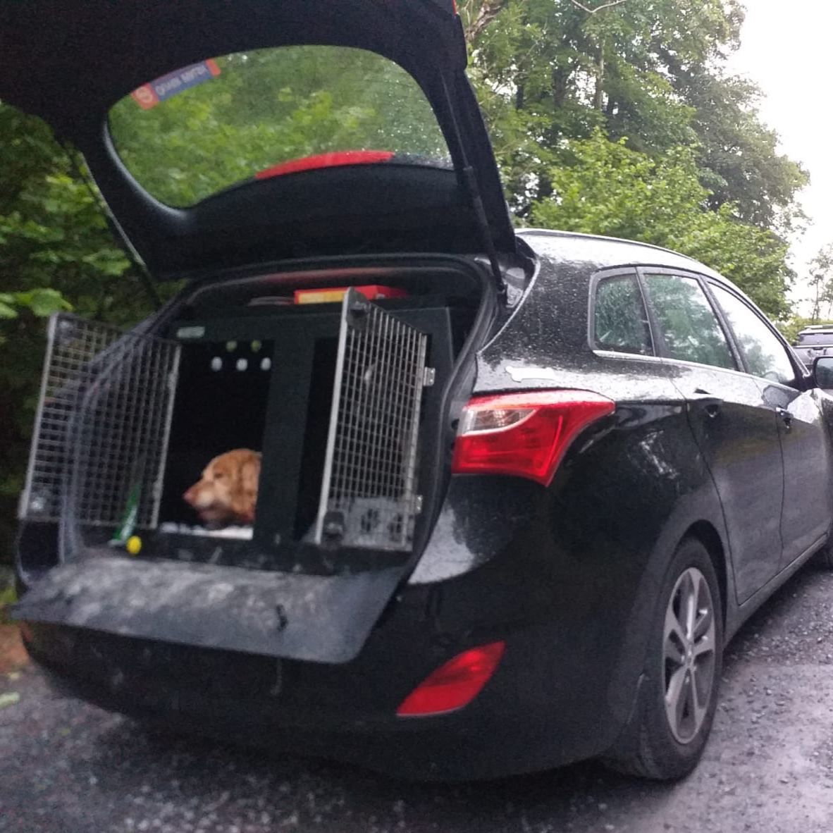 Hyundai i30 Tourer | 2011-2017 | Dog Travel Crate | The DT 1