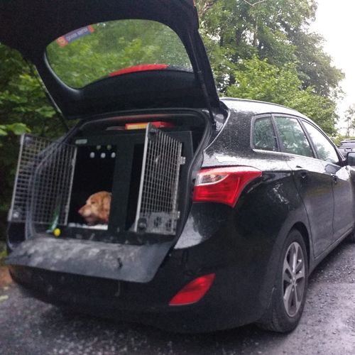 Low MOQ and Customized Dog Portable Metal Cage Kennels Manufacturer Hyundai i30 Tourer | 2011-2017 | Dog Travel Crate | The DT 1