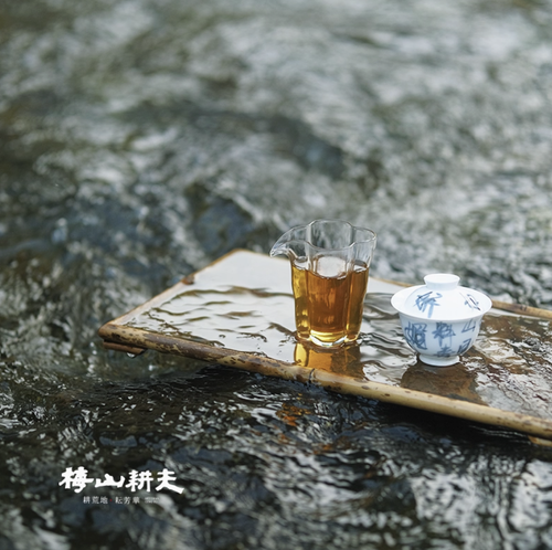 Meishan Farmer 2016 Vintage Tianjian Cube Black Tea