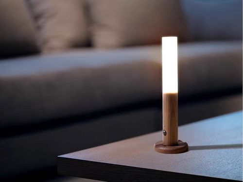 MagneticGo Portable Multi - Scene Lamp