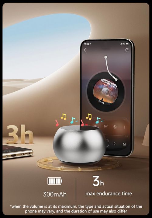 Wireless Mini Speaker