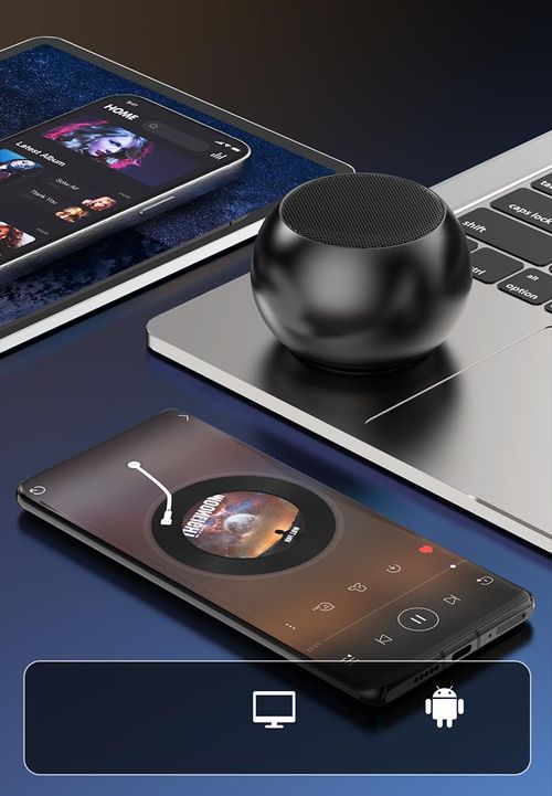 Wireless Mini Speaker