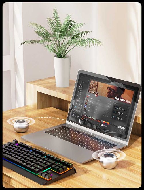 Wireless Mini Speaker