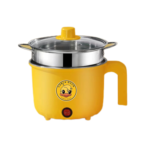 Electric steamer