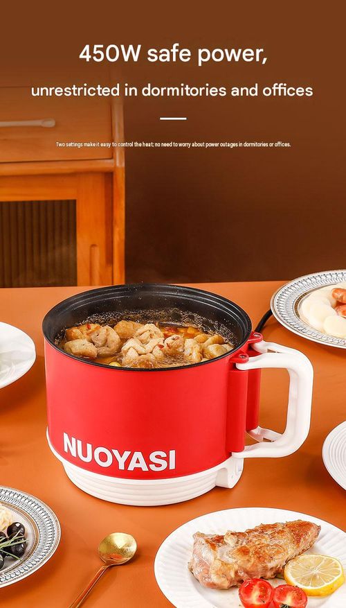 Portable Electric Cooker & Mini Rice Cooker Pot