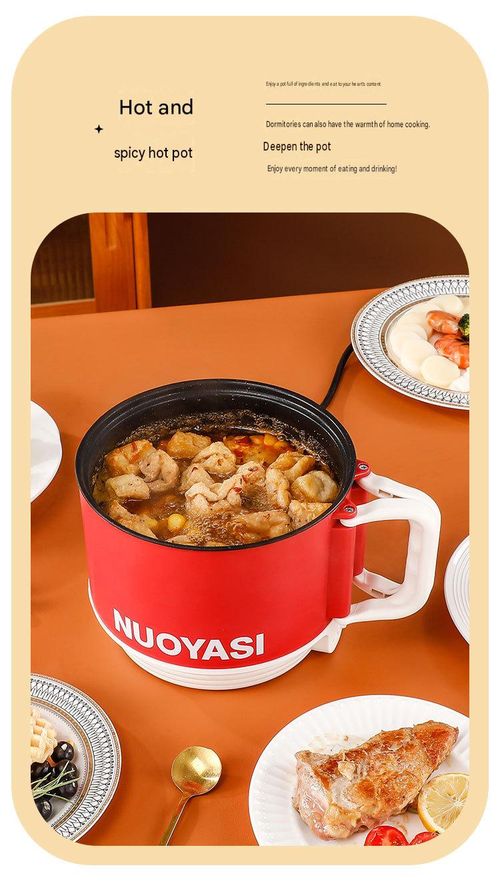 Portable Electric Cooker & Mini Rice Cooker Pot