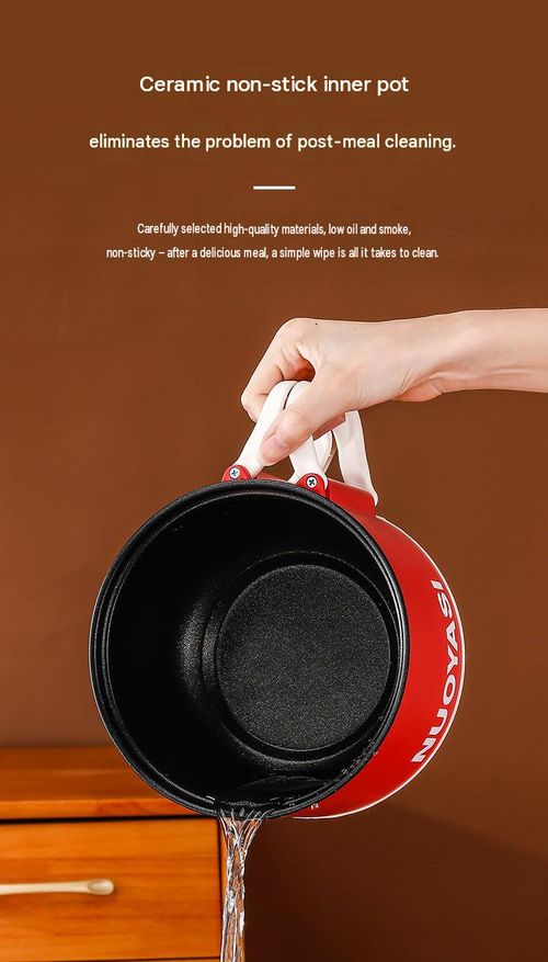 Portable Electric Cooker & Mini Rice Cooker Pot