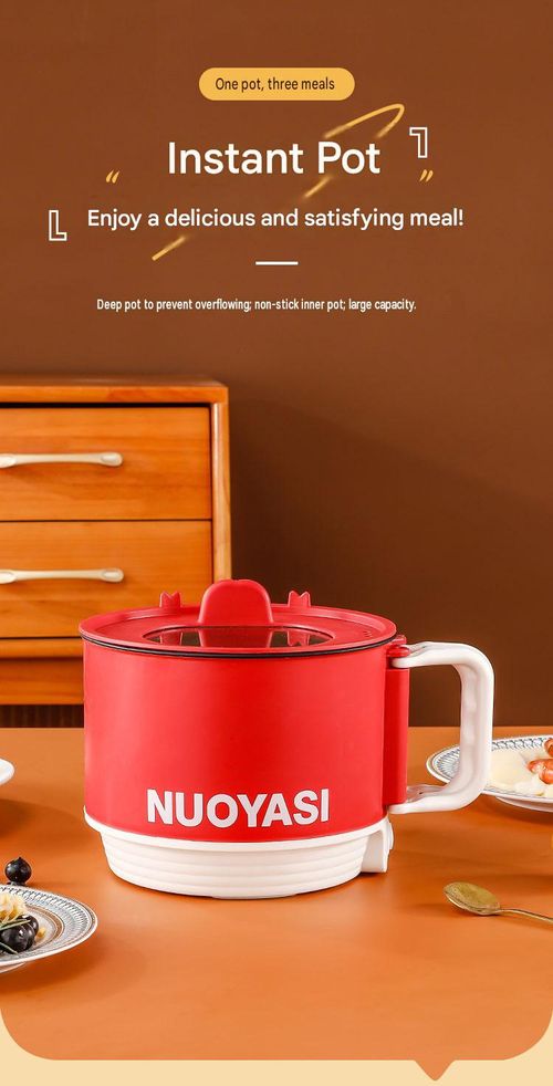 Portable Electric Cooker & Mini Rice Cooker Pot