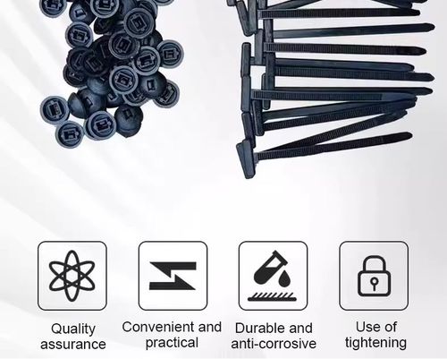 （100）Everything can be tied. Nylon universal cable tie buckle plastic fastener