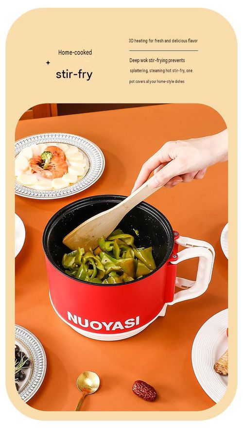 Portable Electric Cooker & Mini Rice Cooker Pot