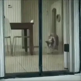 🔥Magnetic screen door. Anti-mosquito. Quiet ventilation