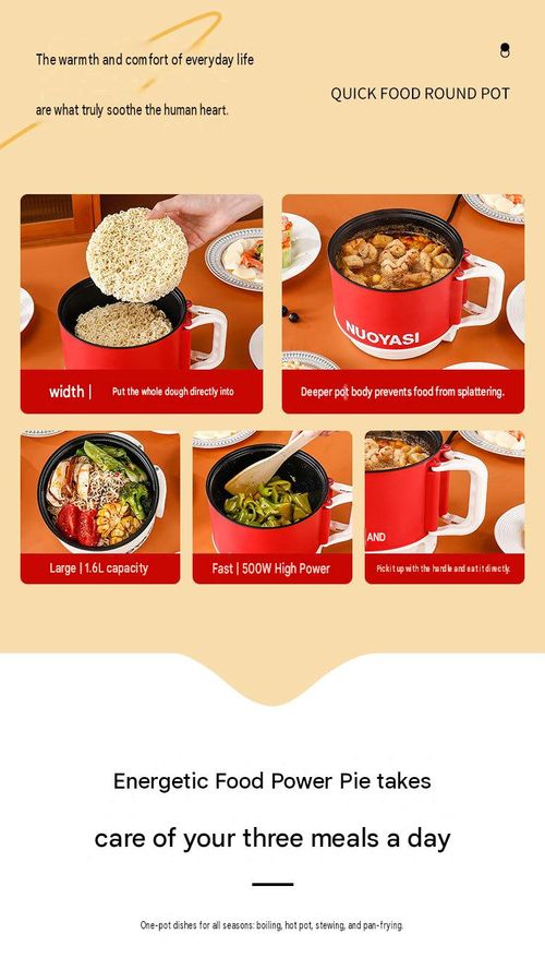 Portable Electric Cooker & Mini Rice Cooker Pot