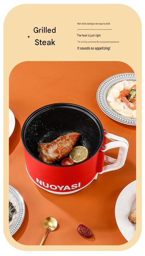 Portable Electric Cooker & Mini Rice Cooker Pot