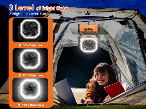 Lighting Mosquito Repellent Fan