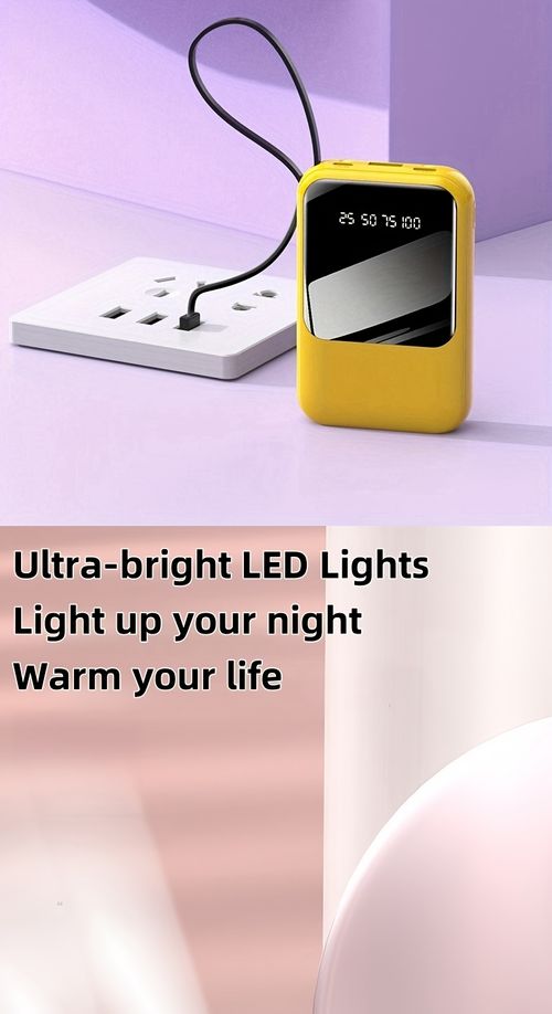 Power Bank