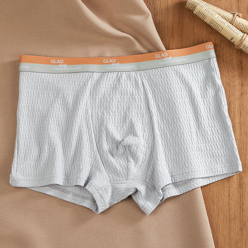 Seamless Men's Boxer Briefs Cotton Underwear Boxer Briefs for Men Comfortable Men's Cotton Shorts Underwear, Color: Light