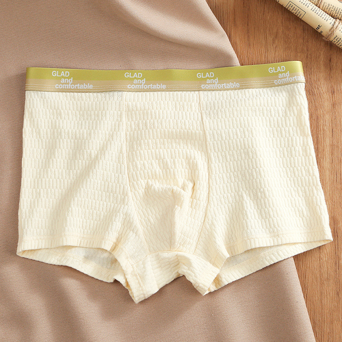 Seamless Men's Boxer Briefs Cotton Underwear Boxer Briefs for Men Comfortable Men's Cotton Shorts Underwear, Color: Light