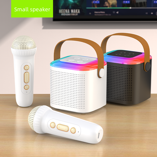 Portable Wireless Karaoke Machine with Dual Microphones, Powerful Bluetooth Speaker for Indoor and Outdoor Party Events