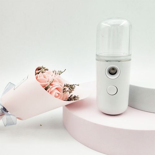 Mini Nano Facial Mist Sprayer Portable Humidifying Spray Device