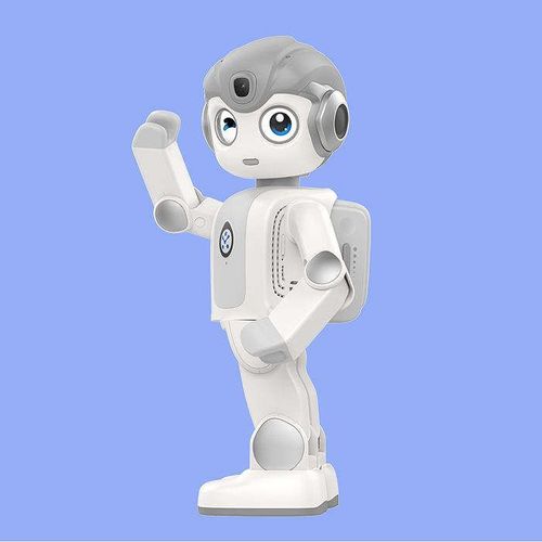 Mini Intelligent Graphical Coding STEM Educational Robot Intelligent AI Humanoid Educational Robot Children's Toy