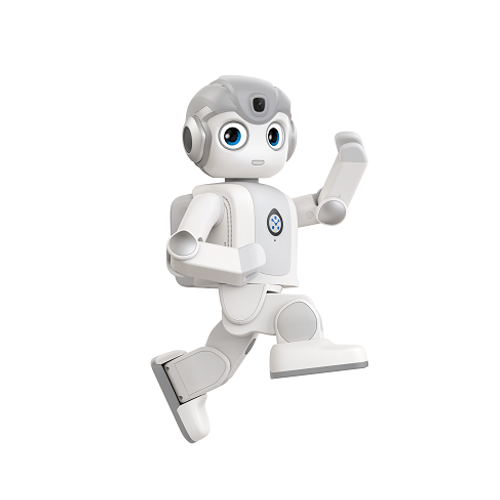 Mini Intelligent Graphical Coding STEM Educational Robot Intelligent AI Humanoid Educational Robot Children's Toy
