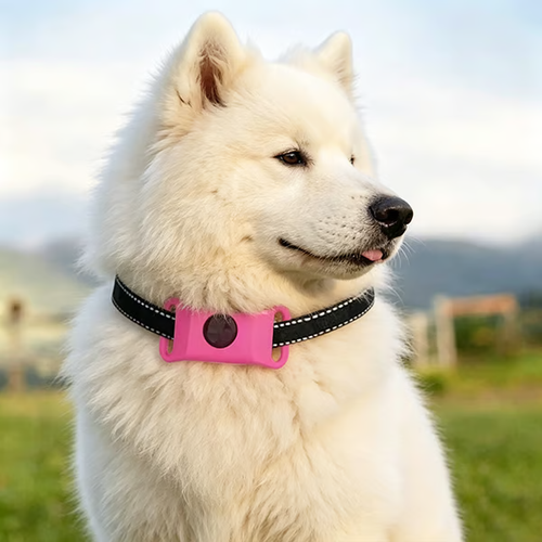 12 Months Flea and Tick Free